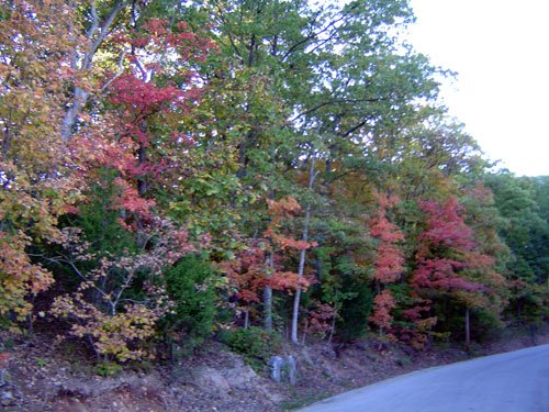 Fall Colors at Lakewood Hills. DSC01362-October-03-2004-05.jpg. Uploaded by Erik Hoffmann on 10/5/2004. 