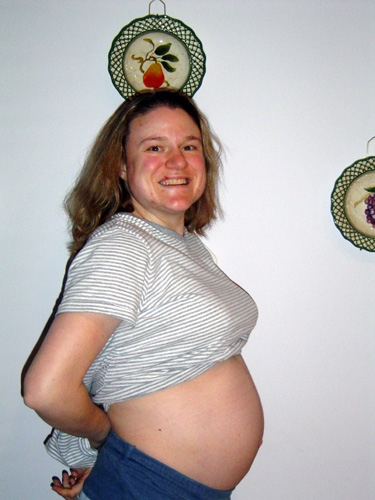 Jessica's Belly, March 8, 2004. Jessica_March-08,-2004.jpg. Uploaded by Erik Hoffmann on 3/21/2004. 