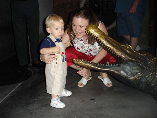 Science City - the gator. DSC01667 2005-06-13 Jessica and Drake brave the gator - Science City001.jpg. Uploaded by Marie Hoffmann on 8/28/2005. 