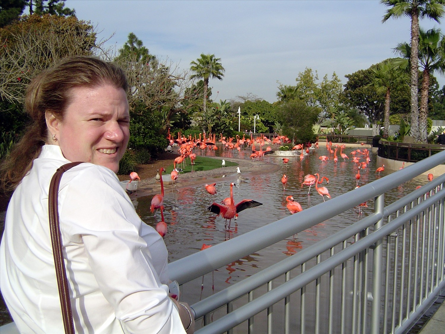 Jessica at the flamingo pond. DSC00532.jpg. Uploaded by Erik Hoffmann on 2/24/2004. 