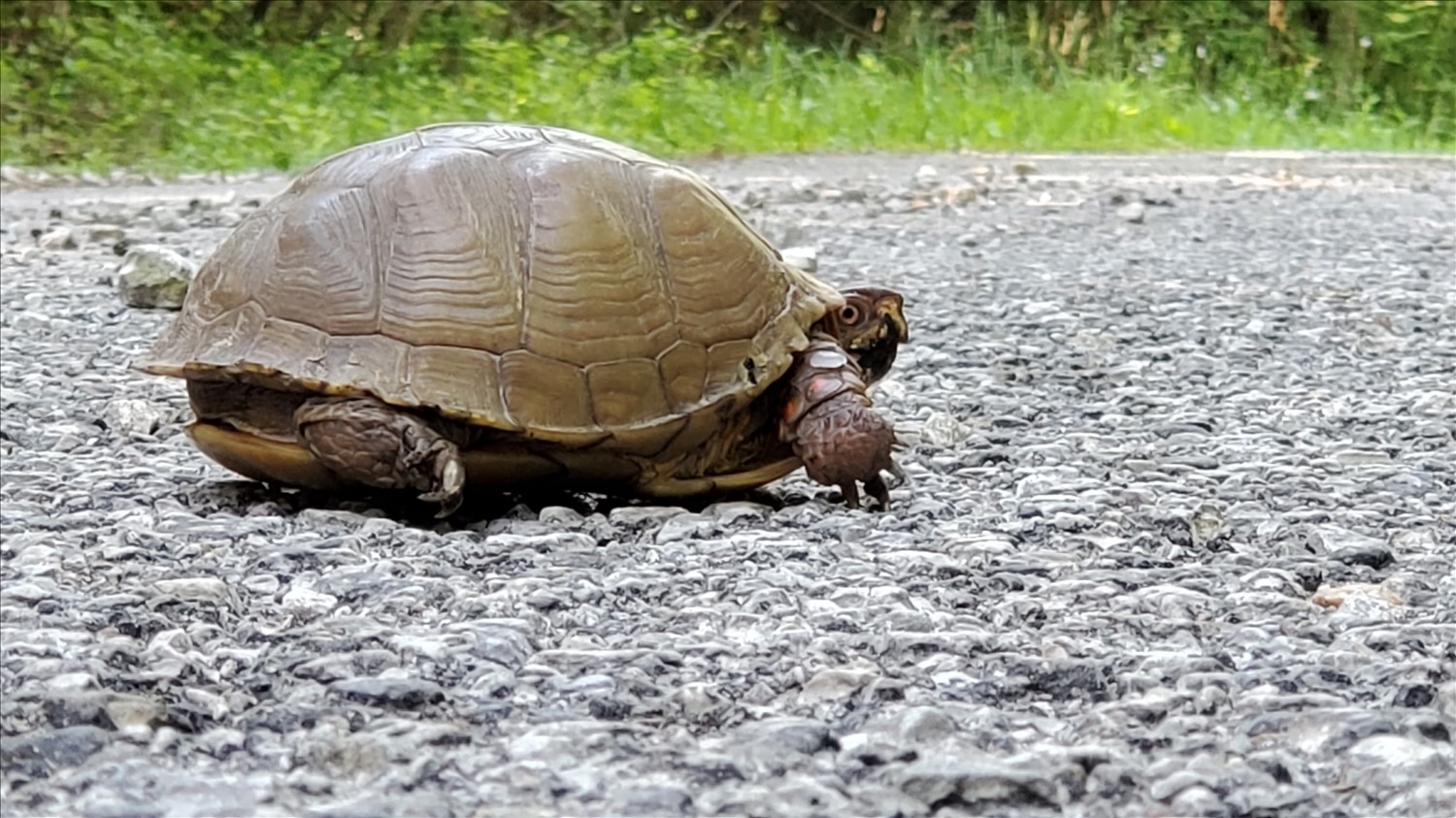 20240513_092243--May 13 2024-09.22.43 AM.jpg. 20240513_092243--May 13 2024-09.22.43 AM.jpg. Uploaded by Erik Hoffmann on 8/3/2024. 