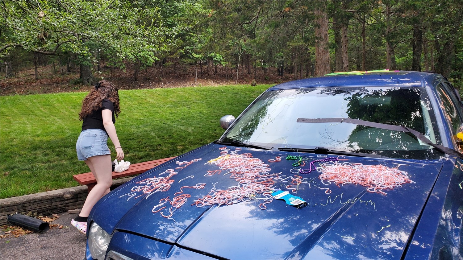 20240524_065632--May 24 2024-06.56.33 AM.jpg. 20240524_065632--May 24 2024-06.56.33 AM.jpg. Uploaded by Erik Hoffmann on 8/3/2024. 