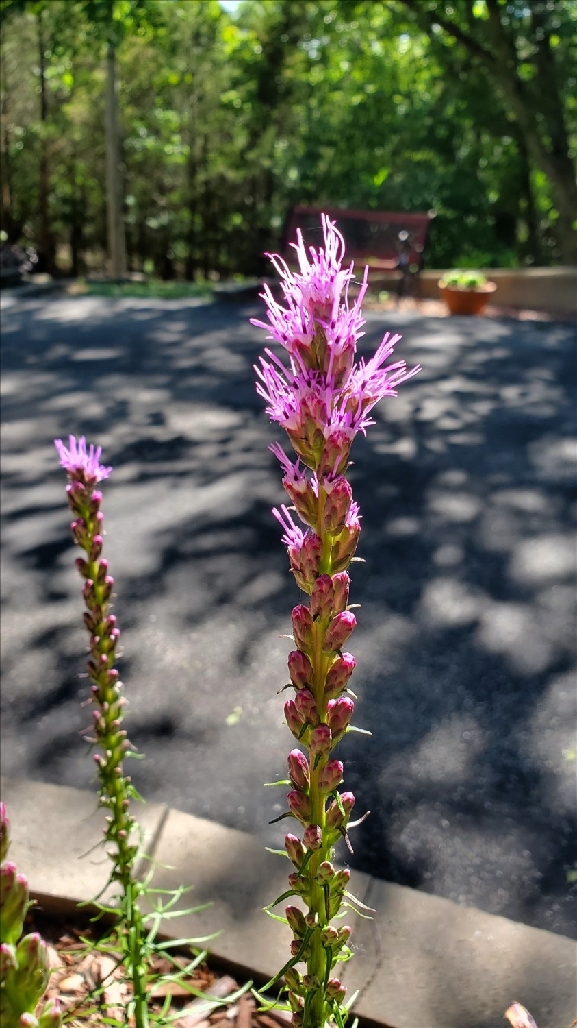 20240607_161901--June 07 2024-04.19.02 PM.jpg. 20240607_161901--June 07 2024-04.19.02 PM.jpg. Uploaded by Erik Hoffmann on 8/3/2024. 