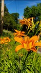 20240609_163504--June 09 2024-04.35.04 PM.jpg 281x500