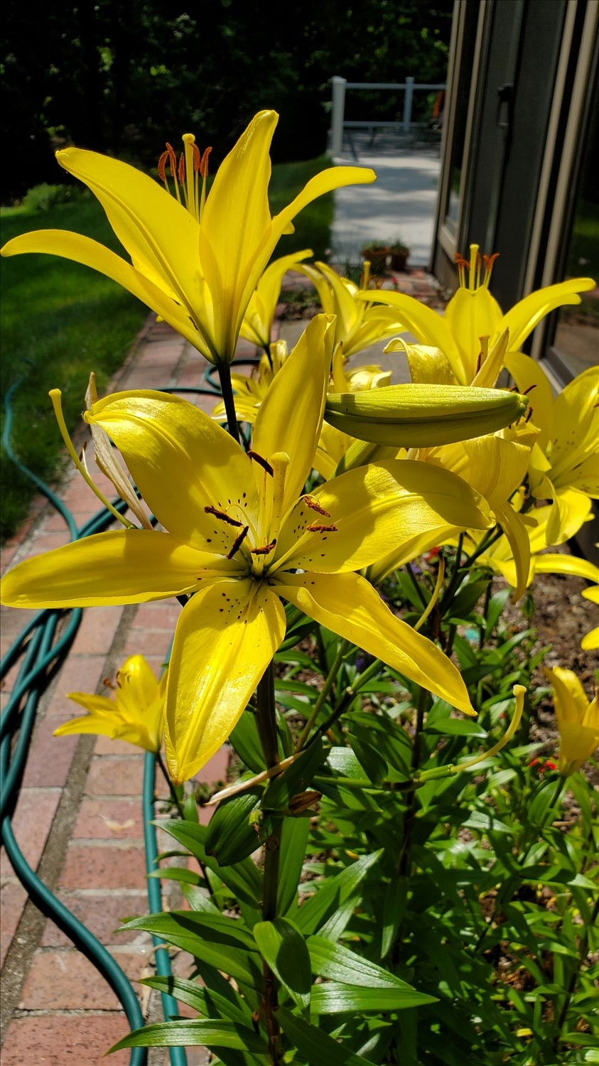 20240615_155601--June 15 2024-03.56.01 PM.jpg. 20240615_155601--June 15 2024-03.56.01 PM.jpg. Uploaded by Erik Hoffmann on 8/3/2024. 