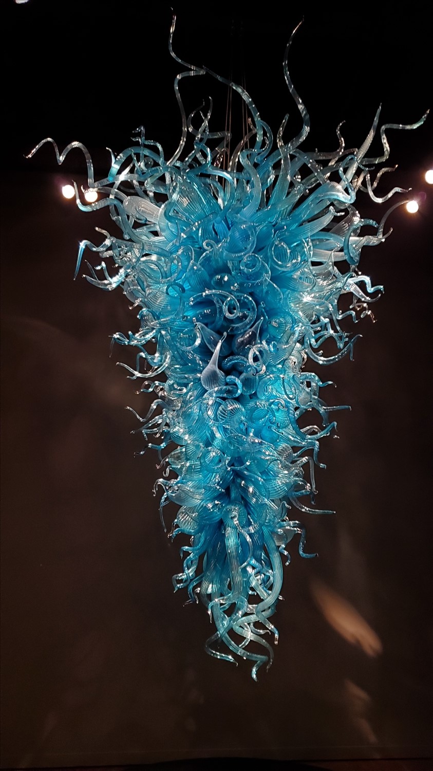 20240725_122223--July 25 2024-12.22.23 PM.jpg. 20240725_122223--July 25 2024-12.22.23 PM.jpg. Uploaded by Erik Hoffmann on 8/3/2024. 