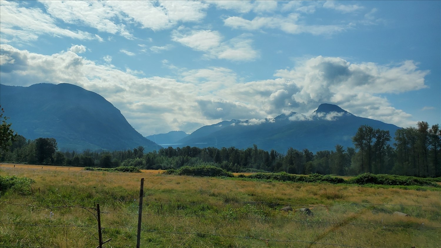 20240728_103515--July 28 2024-10.35.15 AM.jpg. 20240728_103515--July 28 2024-10.35.15 AM.jpg. Uploaded by Erik Hoffmann on 8/3/2024. 