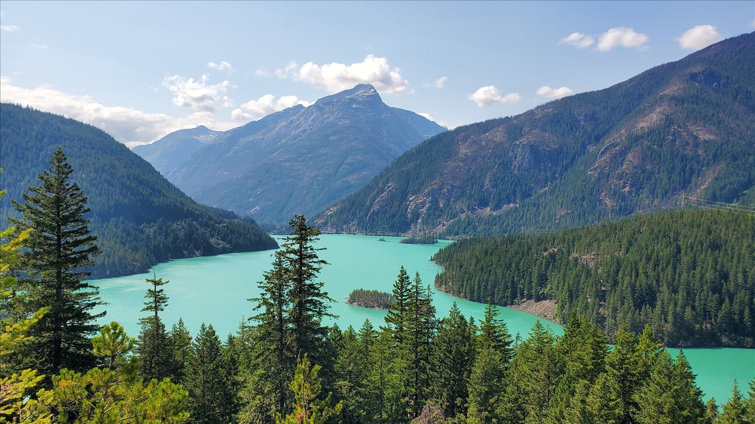 20240728_144337--July 28 2024-02.43.38 PM.jpg. 20240728_144337--July 28 2024-02.43.38 PM.jpg. Uploaded by Erik Hoffmann on 8/3/2024. 