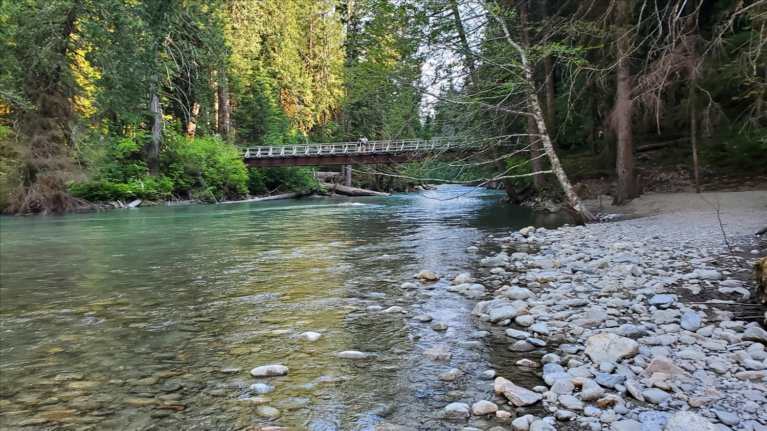 20240728_162709--July 28 2024-04.27.09 PM.jpg. 20240728_162709--July 28 2024-04.27.09 PM.jpg. Uploaded by Erik Hoffmann on 8/3/2024. 