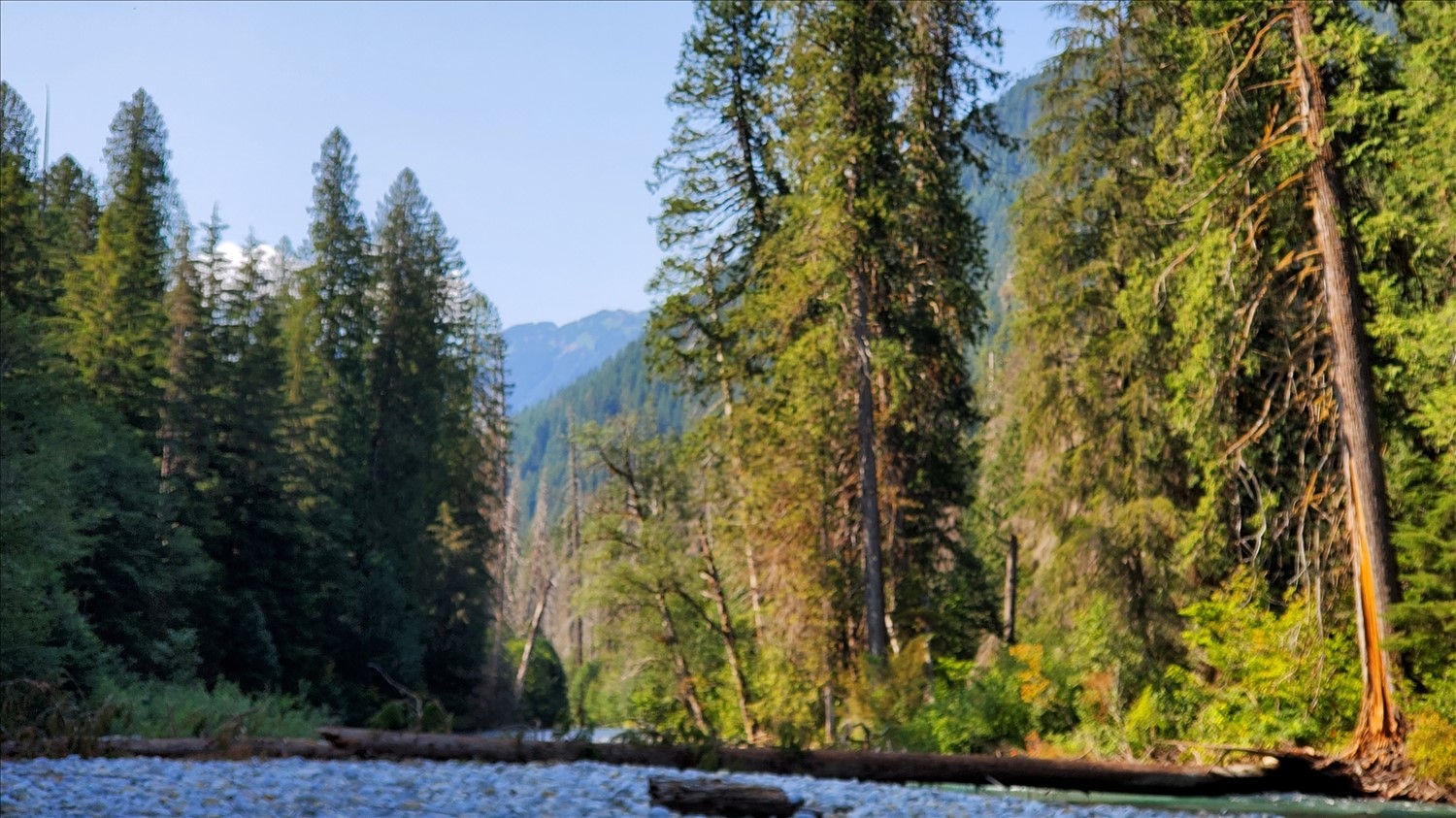 20240728_162717--July 28 2024-04.27.18 PM.jpg. 20240728_162717--July 28 2024-04.27.18 PM.jpg. Uploaded by Erik Hoffmann on 8/3/2024. 