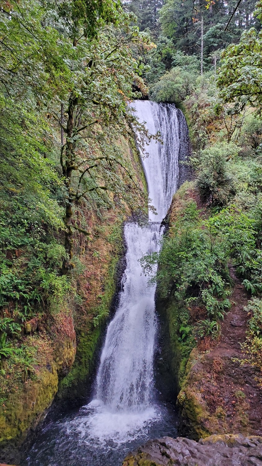 20240729_164211--July 29 2024-04.42.11 PM.jpg. 20240729_164211--July 29 2024-04.42.11 PM.jpg. Uploaded by Erik Hoffmann on 8/3/2024. 