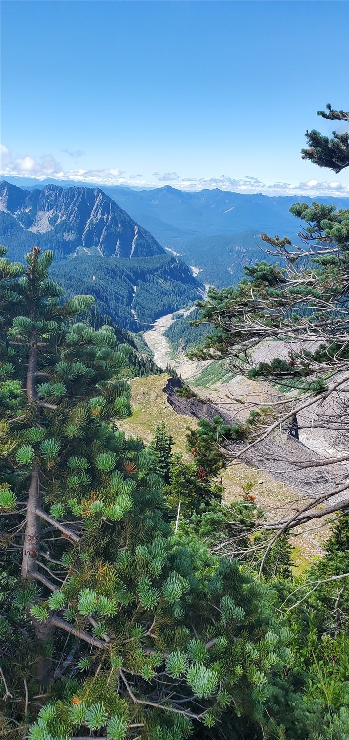 20240731_114845--July 31 2024-11.48.45 AM.jpg. 20240731_114845--July 31 2024-11.48.45 AM.jpg. Uploaded by Erik Hoffmann on 8/3/2024. 