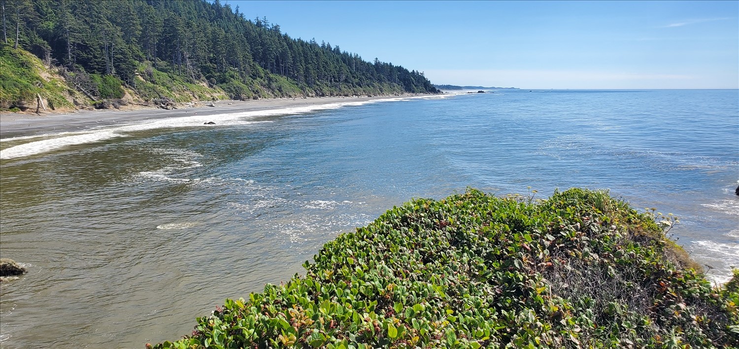 20240801_150509--August 01 2024-03.05.10 PM.jpg. 20240801_150509--August 01 2024-03.05.10 PM.jpg. Uploaded by Erik Hoffmann on 8/3/2024. 