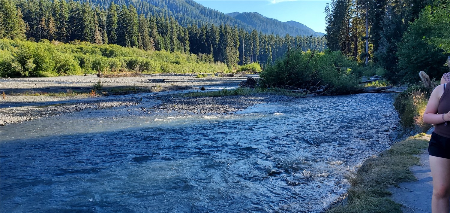 20240801_175307--August 01 2024-05.53.07 PM.jpg. 20240801_175307--August 01 2024-05.53.07 PM.jpg. Uploaded by Erik Hoffmann on 8/3/2024. 