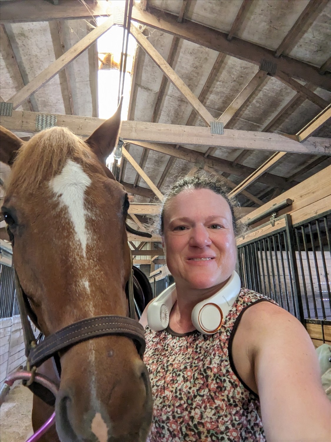 PXL_20240622_143427281--June 22 2024-09.34.27 AM.jpg. PXL_20240622_143427281--June 22 2024-09.34.27 AM.jpg. Uploaded by Erik Hoffmann on 8/3/2024. 