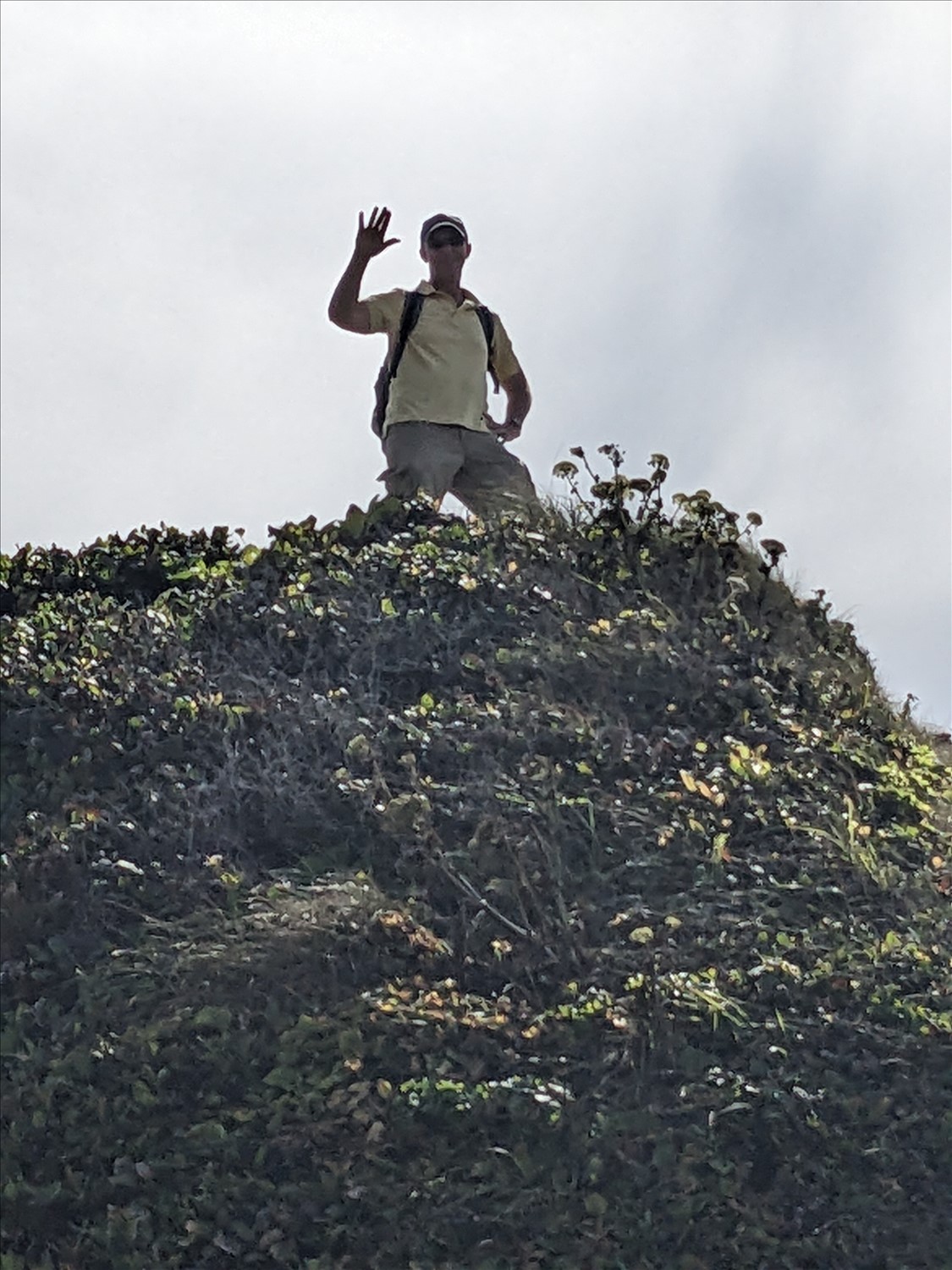 PXL_20240801_220441265--August 01 2024-03.04.41 PM.jpg. PXL_20240801_220441265--August 01 2024-03.04.41 PM.jpg. Uploaded by Erik Hoffmann on 8/3/2024. 