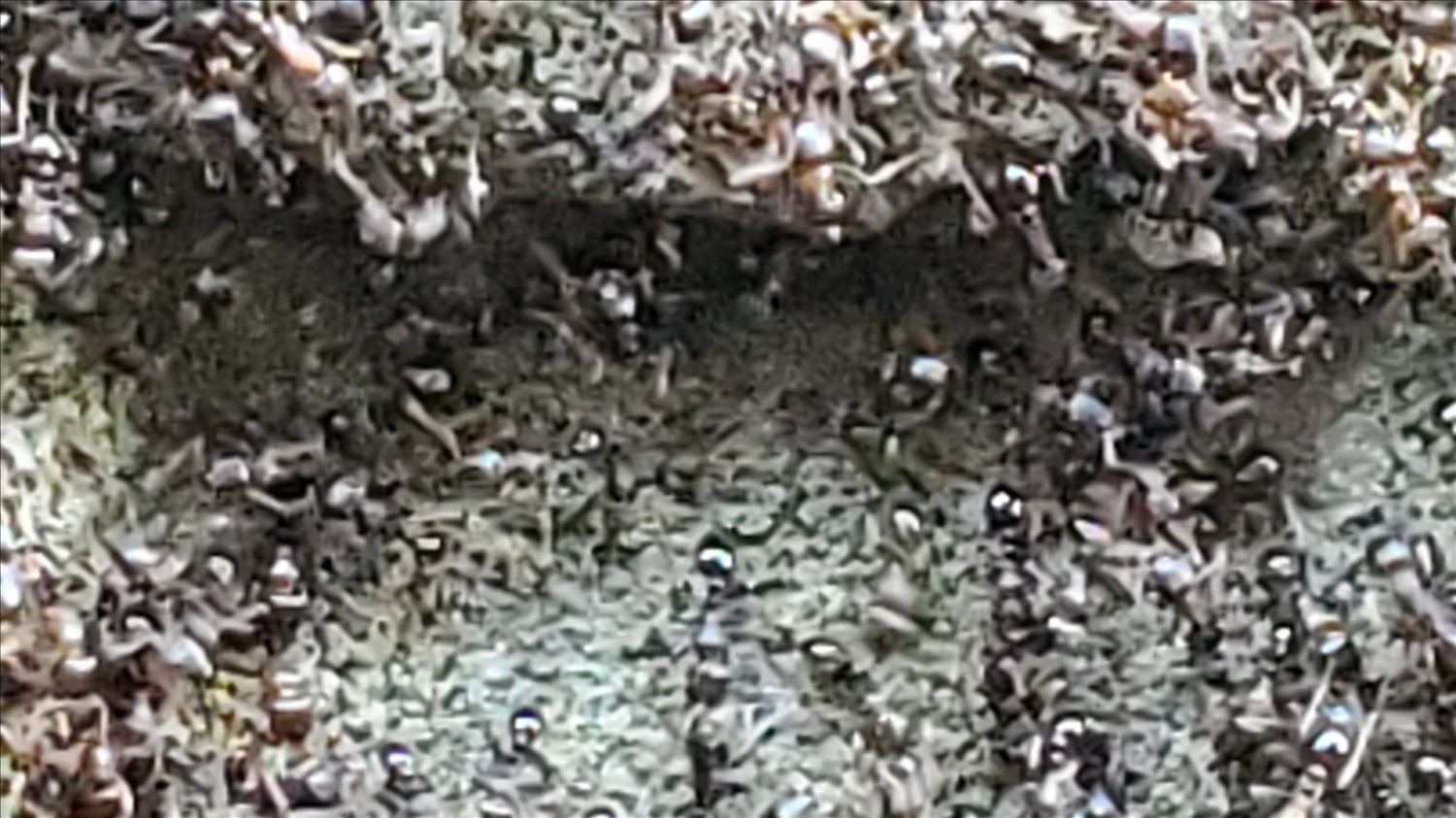 20240906_172957--September 06 2024-05.29.57 PM.jpg. 20240906_172957--September 06 2024-05.29.57 PM.jpg. Uploaded by Erik Hoffmann on 11/23/2024. 