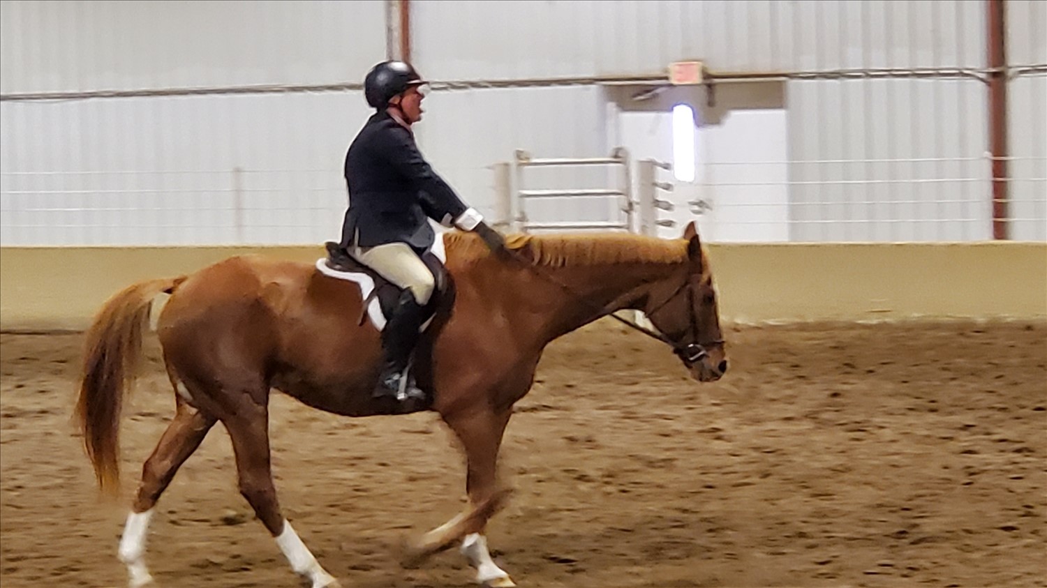 20241026_142417--October 26 2024-02.24.18 PM.jpg. 20241026_142417--October 26 2024-02.24.18 PM.jpg. Uploaded by Erik Hoffmann on 11/23/2024. 