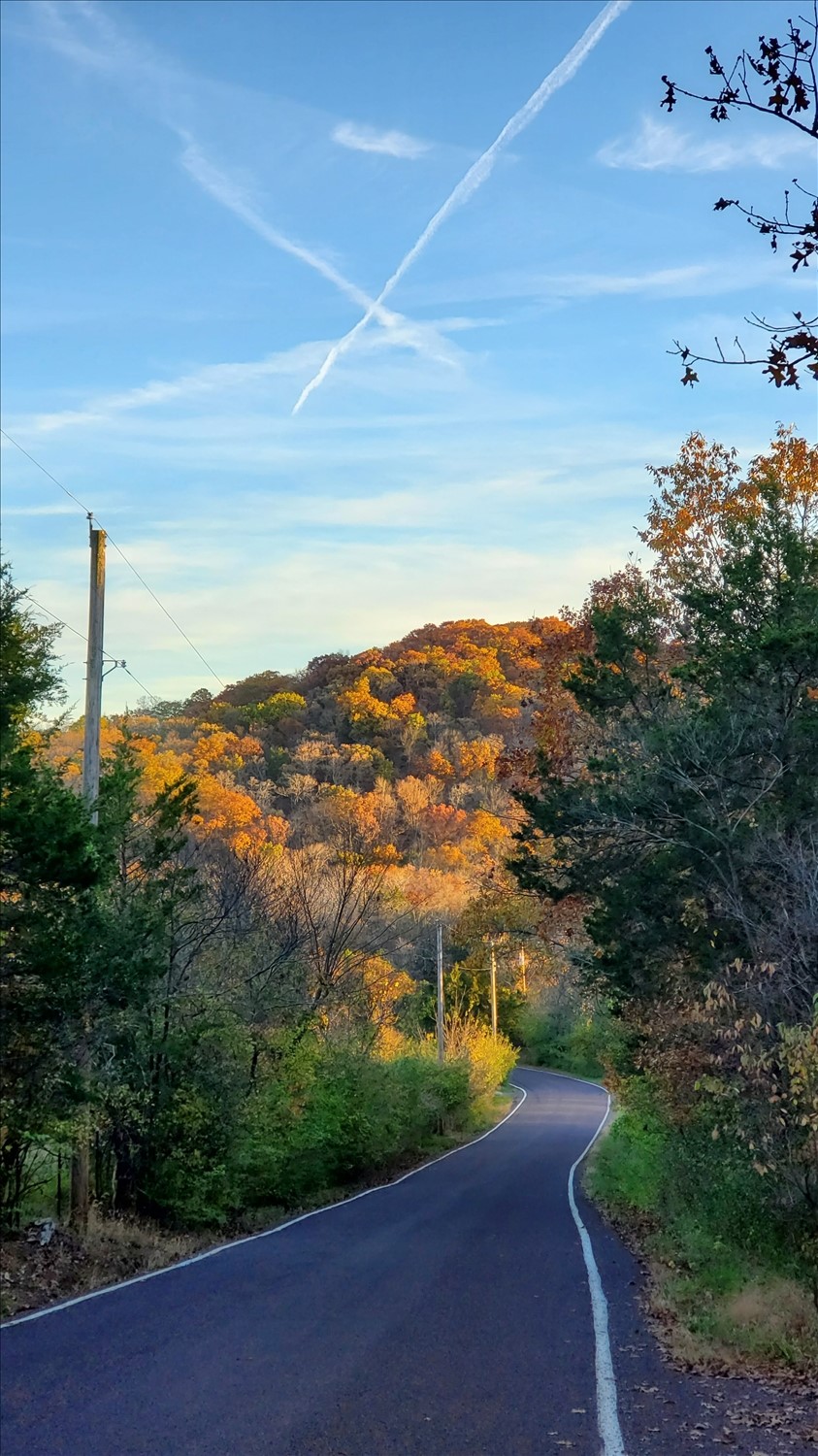 20241101_172821--November 01 2024-05.28.21 PM.jpg. 20241101_172821--November 01 2024-05.28.21 PM.jpg. Uploaded by Erik Hoffmann on 11/23/2024. 