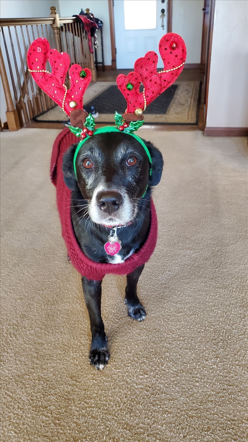 20241207_135127--December 07 2024-01.51.27 PM.jpg. 20241207_135127--December 07 2024-01.51.27 PM.jpg. Uploaded by Erik Hoffmann on 2/17/2025. 