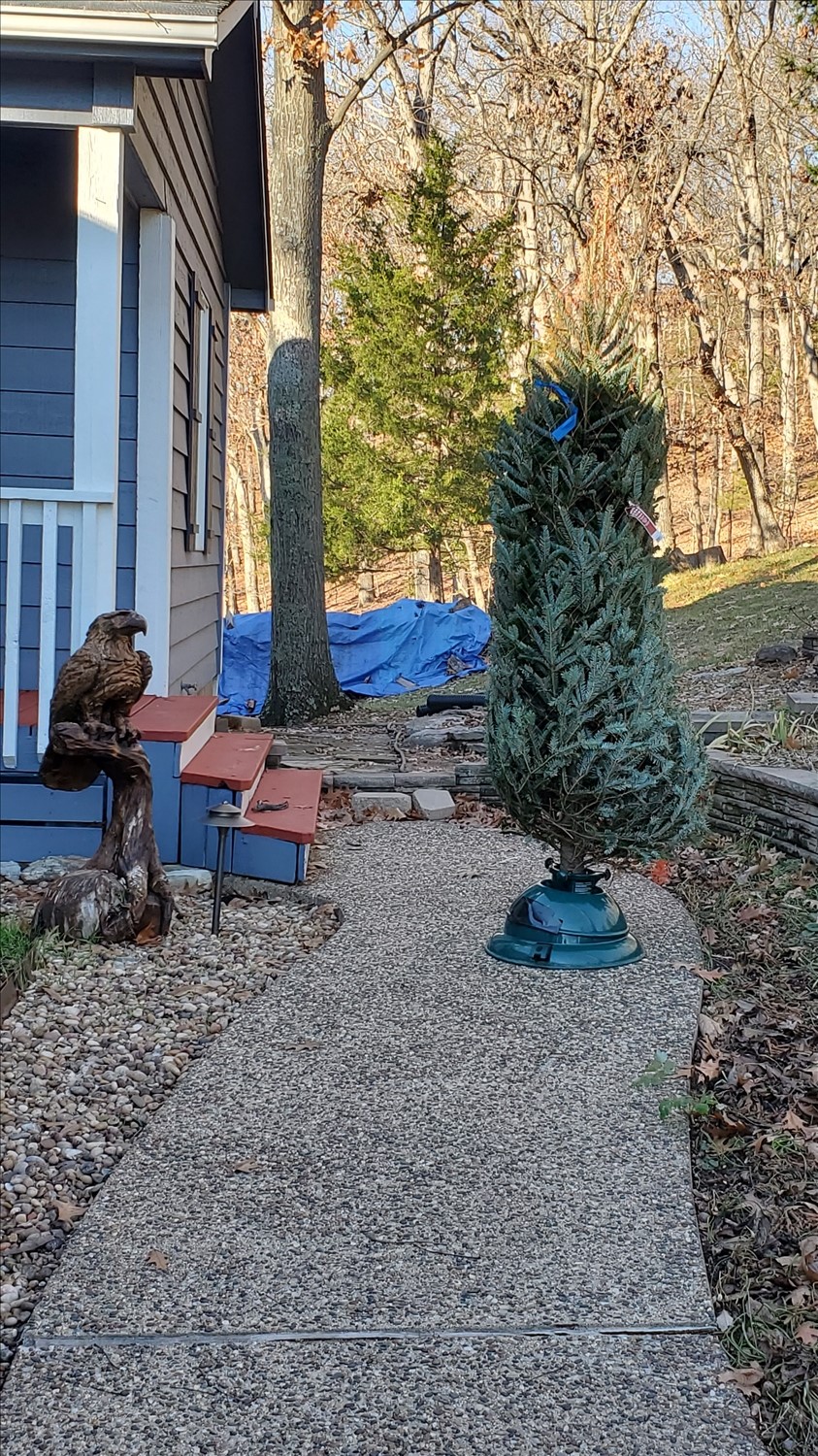 20241215_145030--December 15 2024-02.50.30 PM.jpg. 20241215_145030--December 15 2024-02.50.30 PM.jpg. Uploaded by Erik Hoffmann on 2/17/2025. 