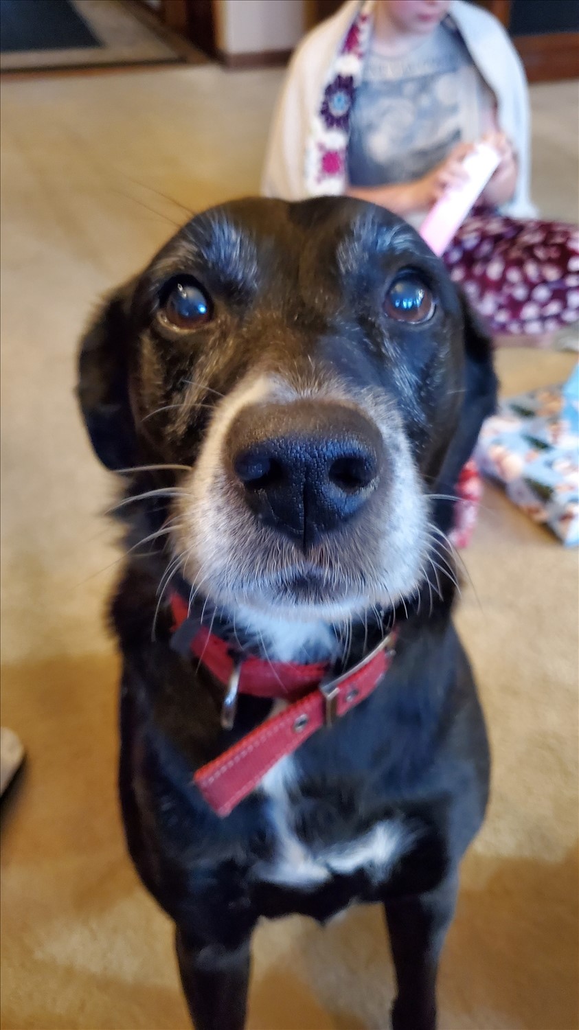 20241225_093446--December 25 2024-09.34.46 AM.jpg. 20241225_093446--December 25 2024-09.34.46 AM.jpg. Uploaded by Erik Hoffmann on 2/17/2025. 