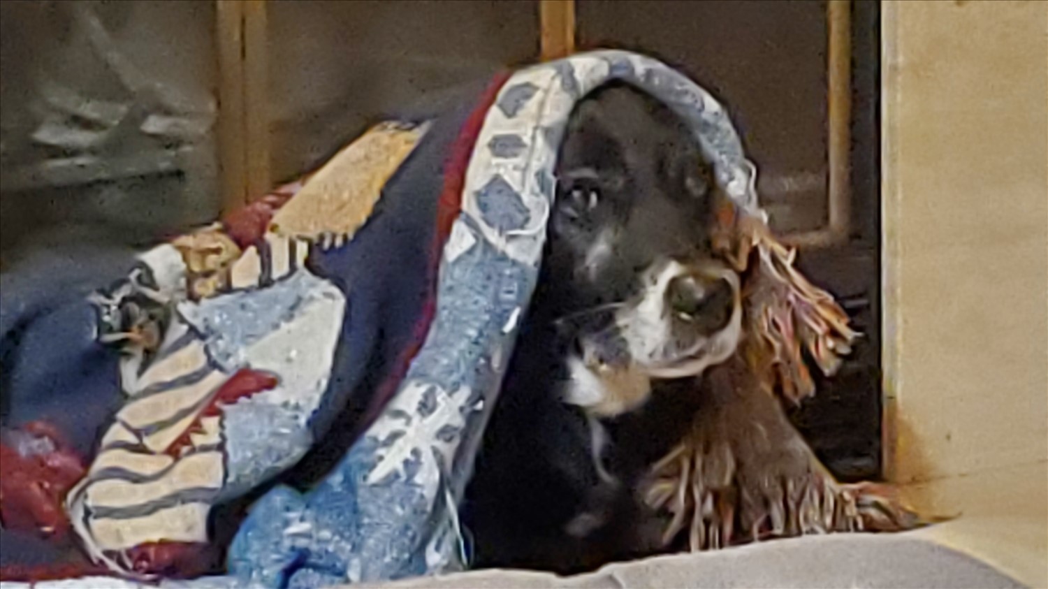 20250101_211208--January 01 2025-09.12.08 PM.jpg. 20250101_211208--January 01 2025-09.12.08 PM.jpg. Uploaded by Erik Hoffmann on 2/17/2025. 