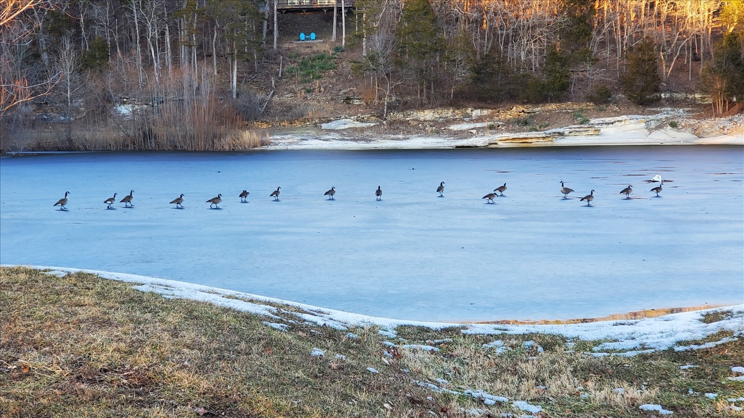 20250128_164507--January 28 2025-04.45.07 PM.jpg. 20250128_164507--January 28 2025-04.45.07 PM.jpg. Uploaded by Erik Hoffmann on 2/17/2025. 