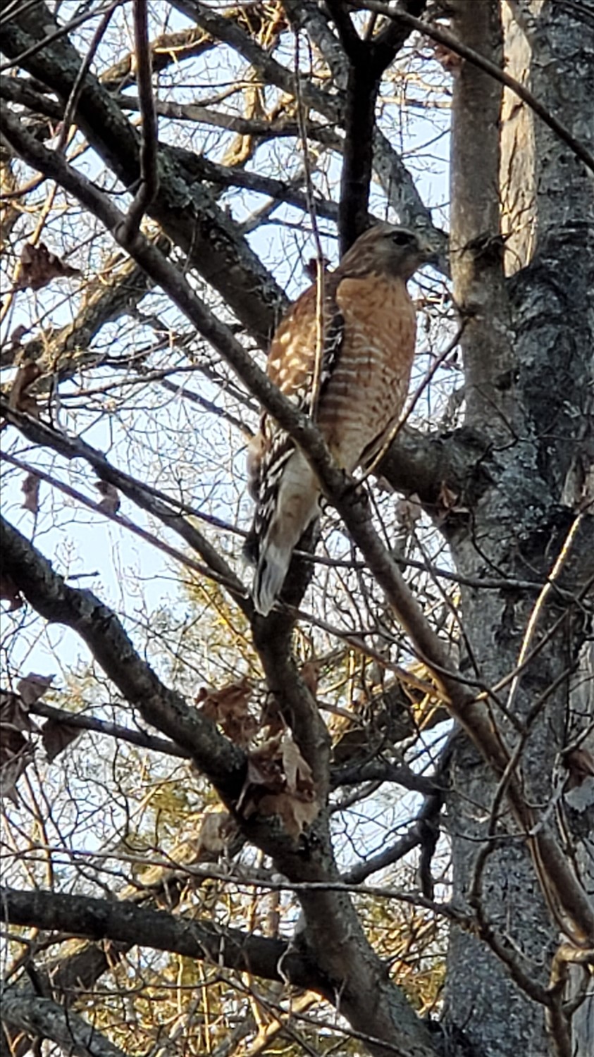 20250203_163635--February 03 2025-04.36.35 PM.jpg. 20250203_163635--February 03 2025-04.36.35 PM.jpg. Uploaded by Erik Hoffmann on 2/17/2025. 