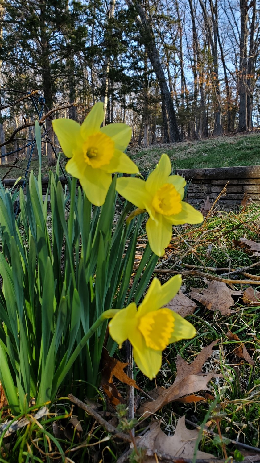 20250314_082720--March 14 2025-08.27.20 AM.jpg. 20250314_082720--March 14 2025-08.27.20 AM.jpg. Uploaded by Erik Hoffmann on 5/1/2025. 