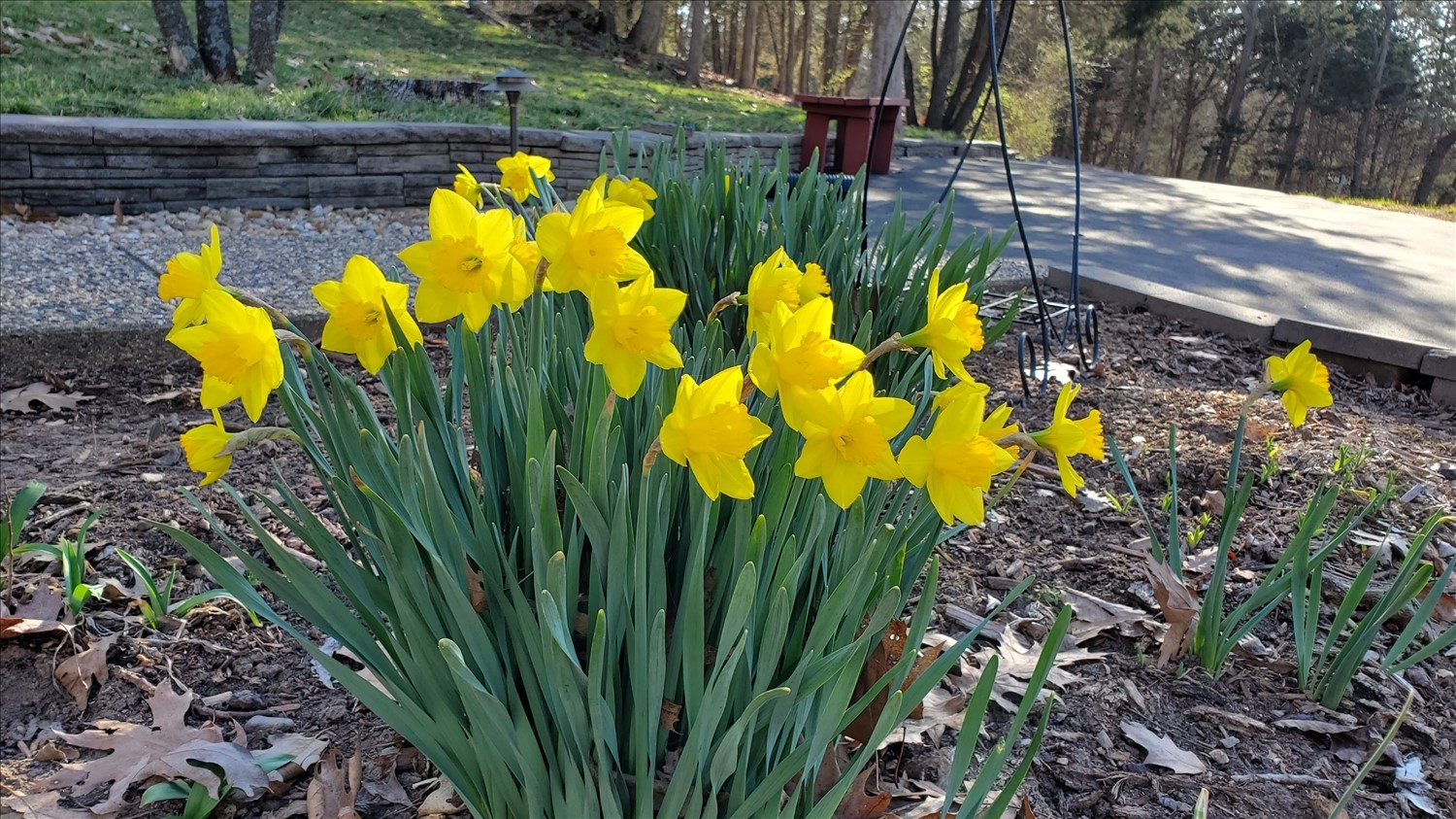 20250314_093439--March 14 2025-09.34.39 AM.jpg. 20250314_093439--March 14 2025-09.34.39 AM.jpg. Uploaded by Erik Hoffmann on 5/1/2025. 