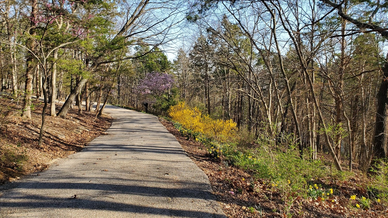 20250319_170814--March 19 2025-05.08.14 PM.jpg. 20250319_170814--March 19 2025-05.08.14 PM.jpg. Uploaded by Erik Hoffmann on 5/1/2025. 