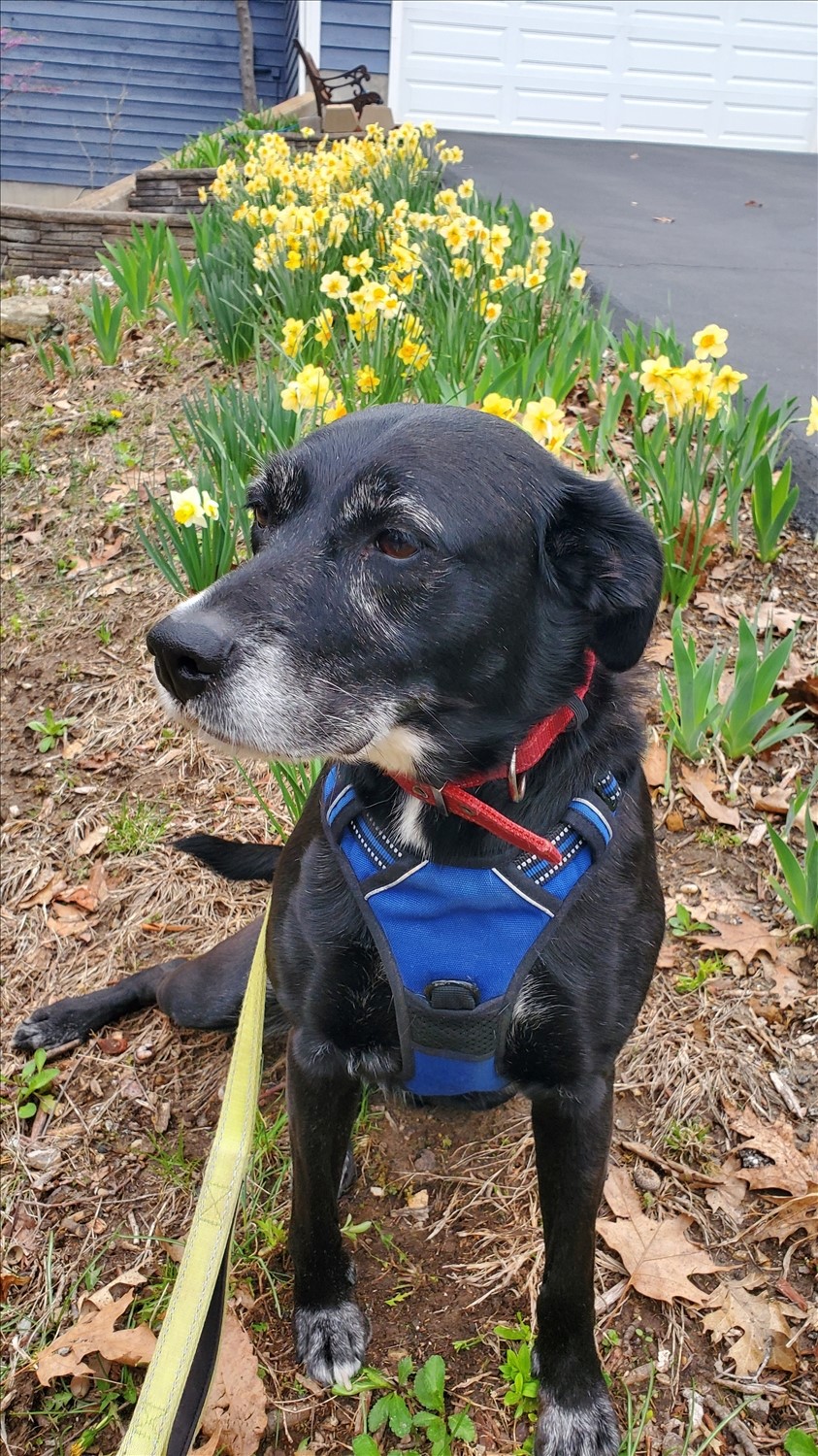 20250402_092912--April 02 2025-09.29.12 AM.jpg. 20250402_092912--April 02 2025-09.29.12 AM.jpg. Uploaded by Erik Hoffmann on 5/1/2025. 