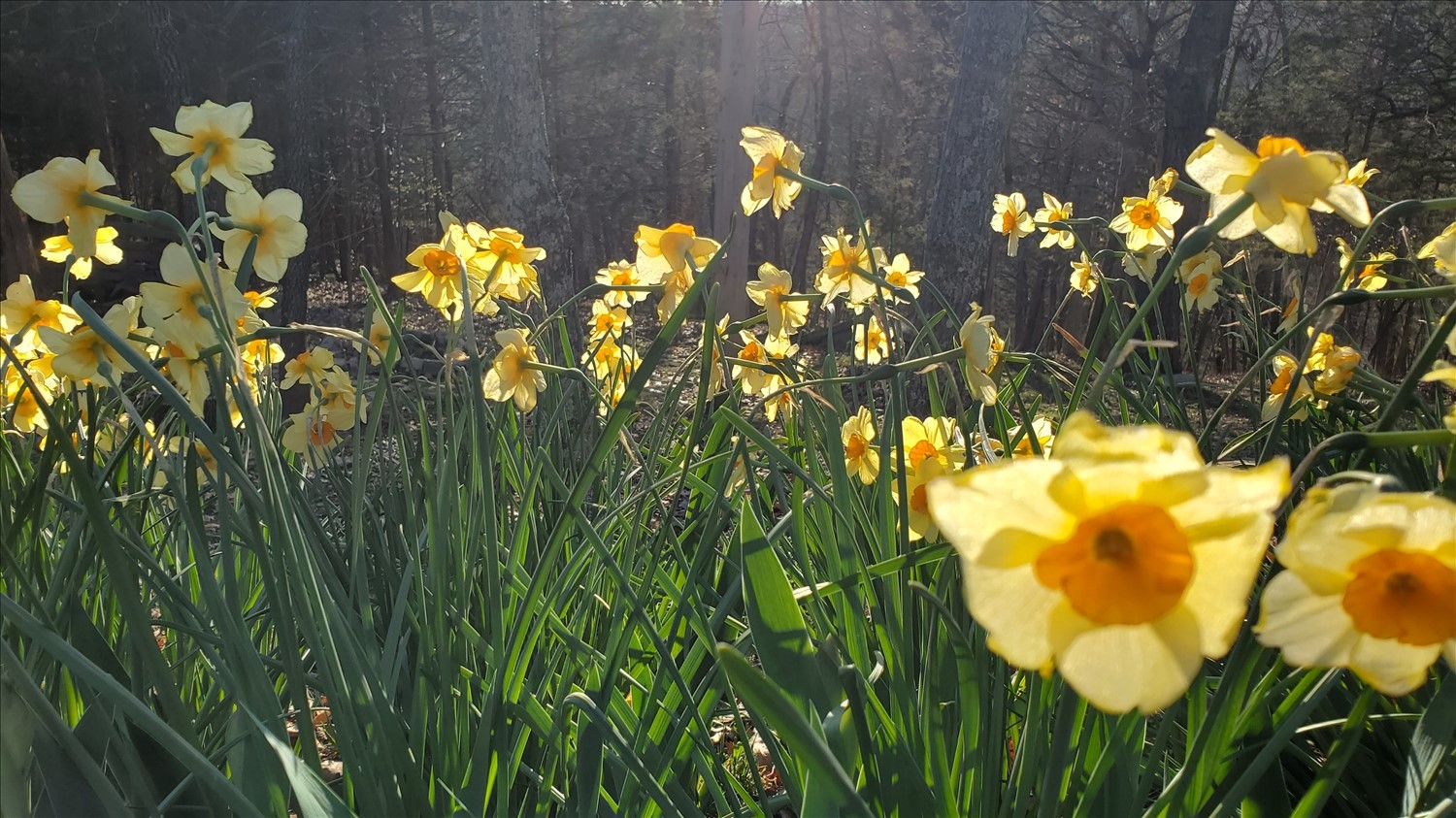 20250408_175927--April 08 2025-05.59.27 PM.jpg. 20250408_175927--April 08 2025-05.59.27 PM.jpg. Uploaded by Erik Hoffmann on 5/1/2025. 