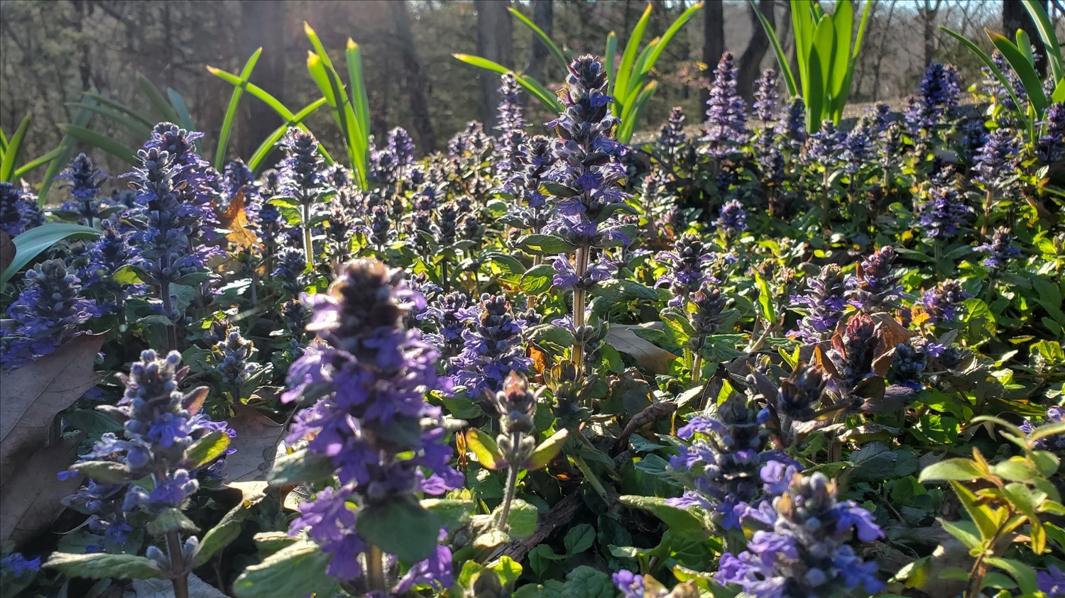 20250408_175938--April 08 2025-05.59.39 PM.jpg. 20250408_175938--April 08 2025-05.59.39 PM.jpg. Uploaded by Erik Hoffmann on 5/1/2025. 