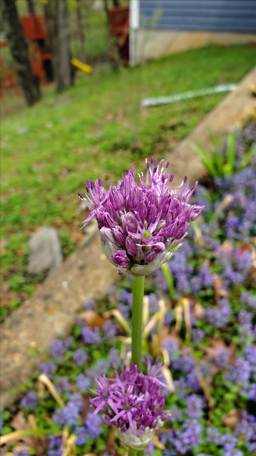 20250420_113049--April 20 2025-11.30.49 AM.jpg. 20250420_113049--April 20 2025-11.30.49 AM.jpg. Uploaded by Erik Hoffmann on 5/1/2025. 