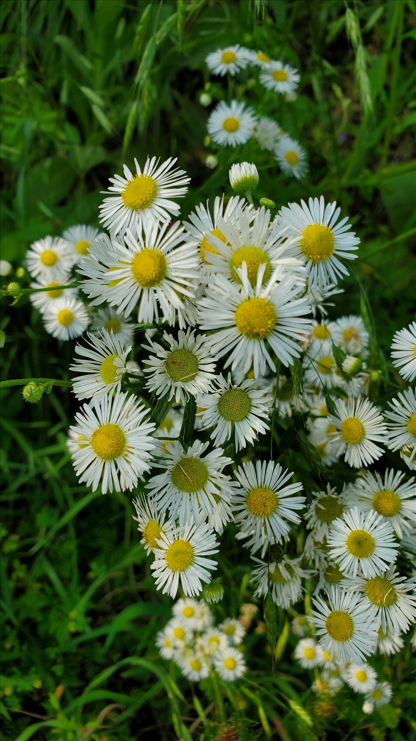 20250602_163811--June 02 2025-04.38.11 PM.jpg. 20250602_163811--June 02 2025-04.38.11 PM.jpg. Uploaded by Erik Hoffmann on 8/7/2025. 