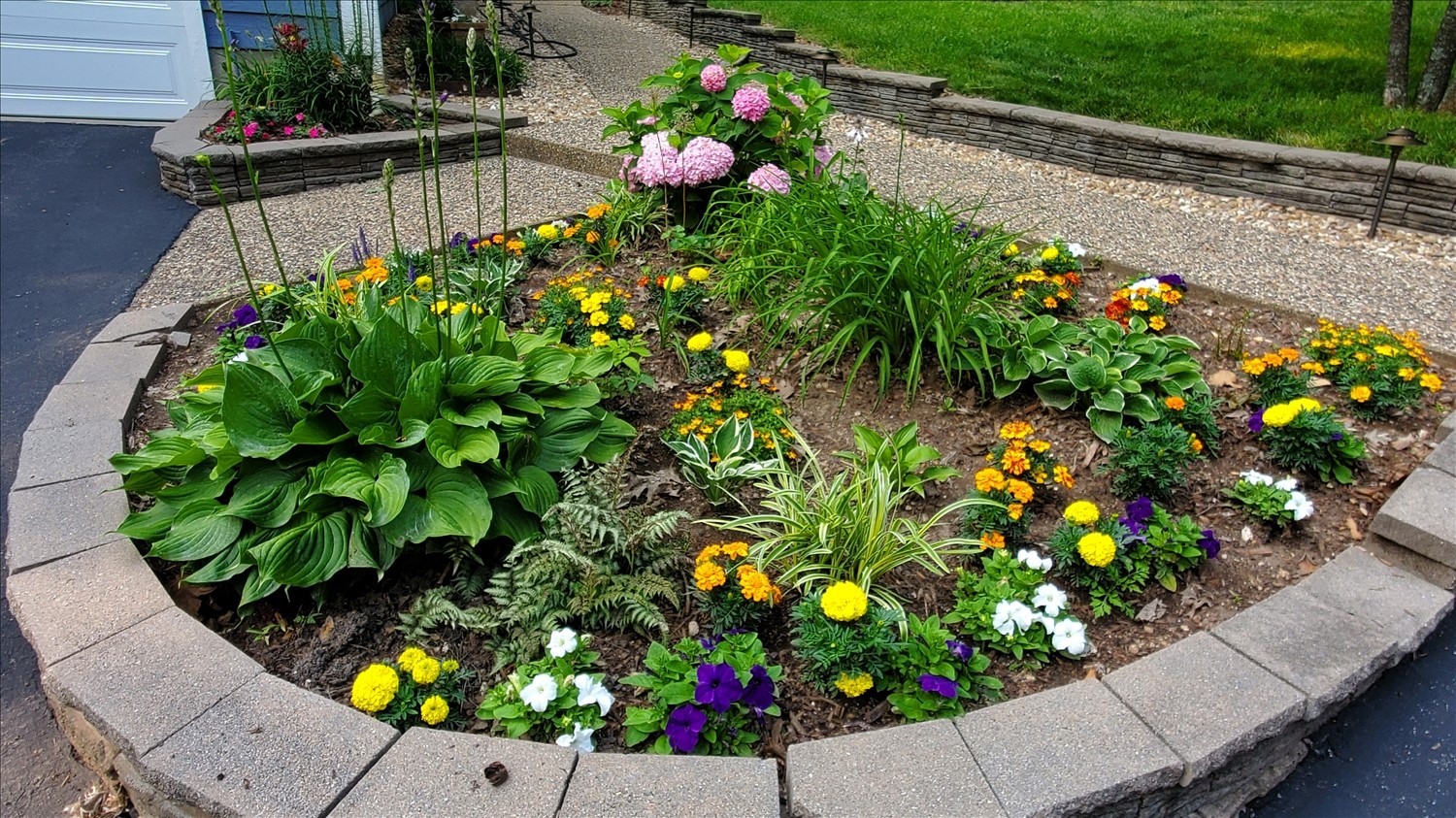 20250610_174802--June 10 2025-05.48.02 PM.jpg. 20250610_174802--June 10 2025-05.48.02 PM.jpg. Uploaded by Erik Hoffmann on 8/7/2025. 