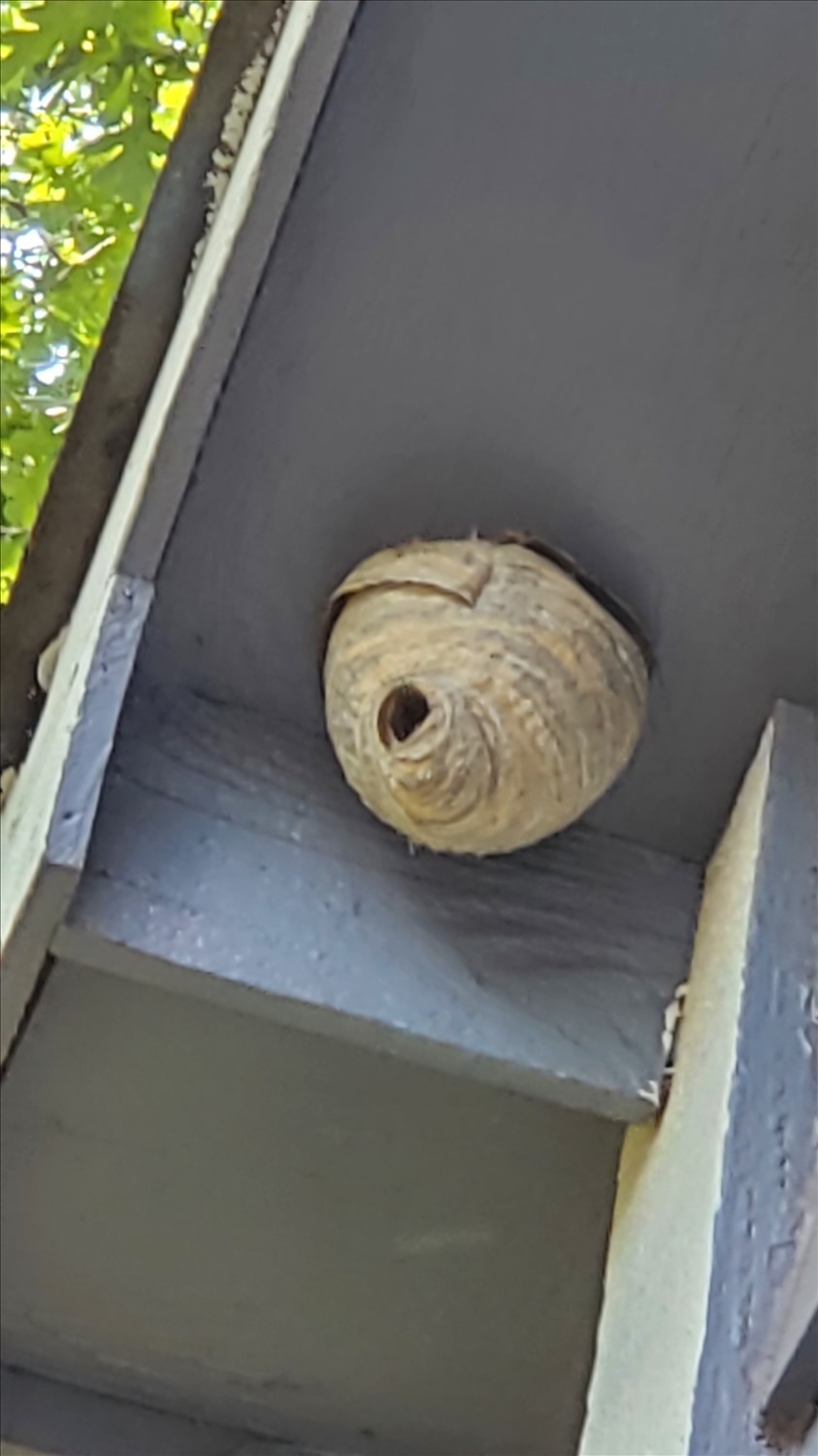 20250716_145420--July 16 2025-02.54.21 PM.jpg. 20250716_145420--July 16 2025-02.54.21 PM.jpg. Uploaded by Erik Hoffmann on 8/7/2025. 