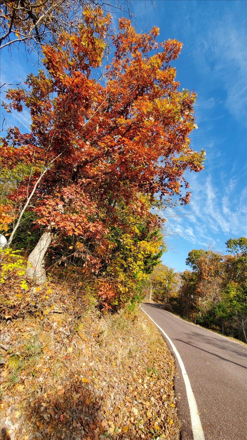 20251107_093019--November 07 2025-09.30.19 AM.jpg. 20251107_093019--November 07 2025-09.30.19 AM.jpg. Uploaded by Erik Hoffmann on 11/16/2025. 