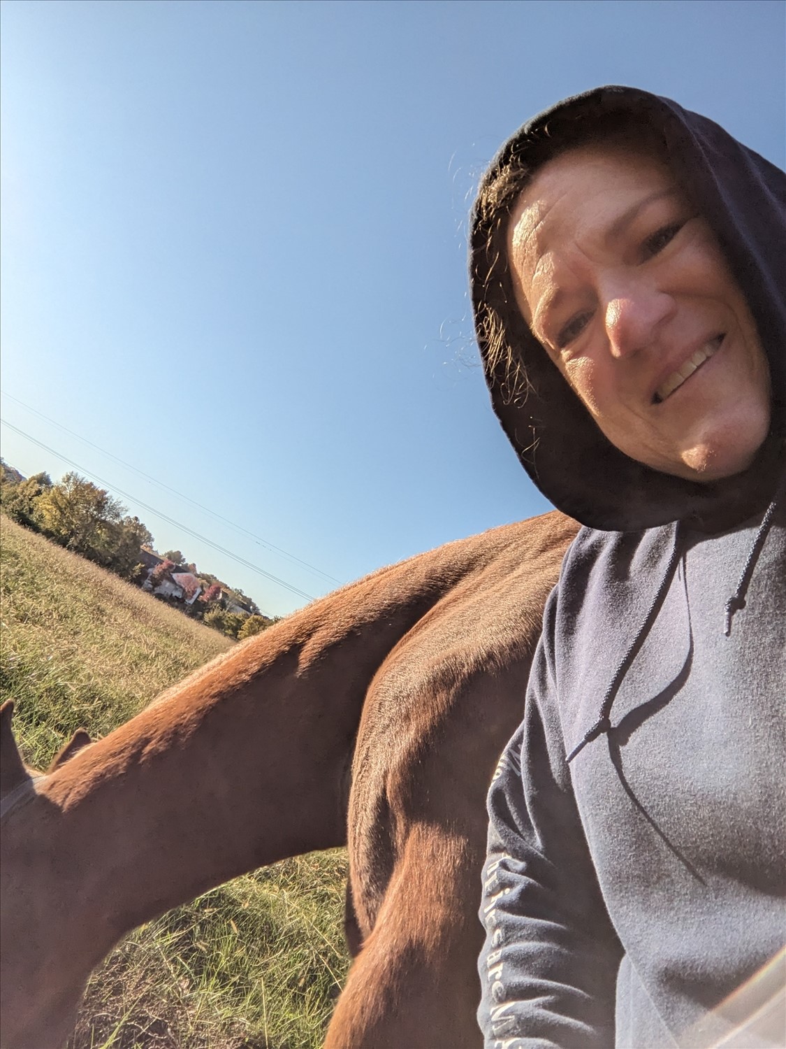 PXL_20241026_134200841--October 26 2024-08.42.00 AM.jpg. PXL_20241026_134200841--October 26 2024-08.42.00 AM.jpg. Uploaded by Erik Hoffmann on 11/16/2025. 