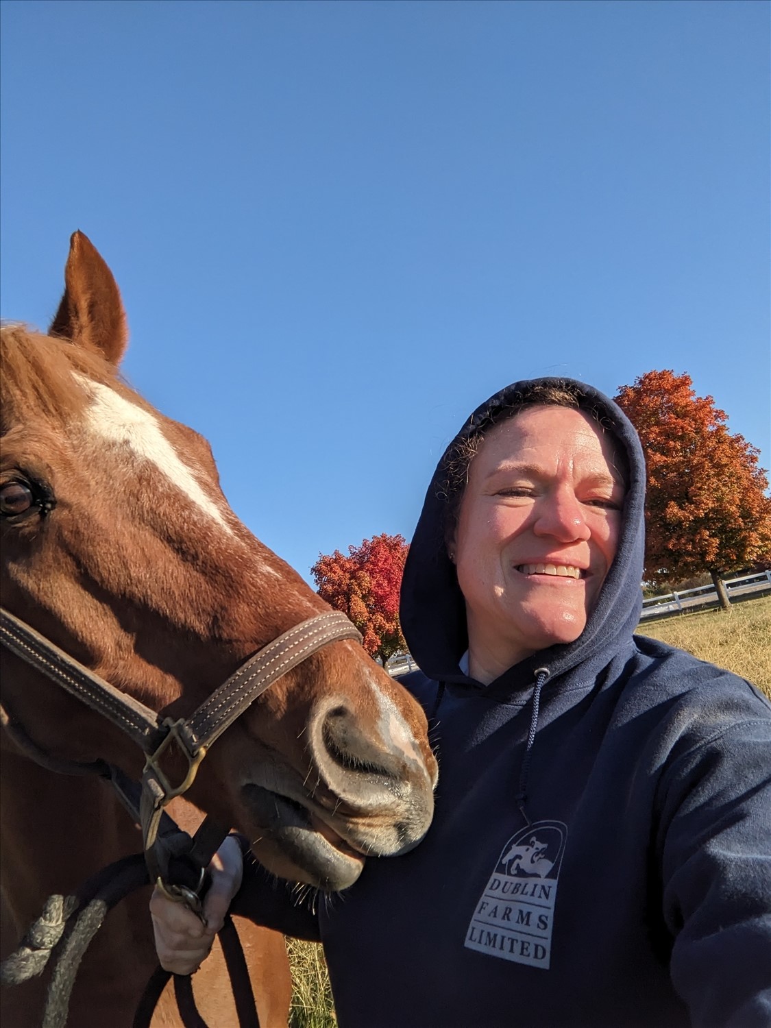 PXL_20241026_134219888--October 26 2024-08.42.19 AM.jpg. PXL_20241026_134219888--October 26 2024-08.42.19 AM.jpg. Uploaded by Erik Hoffmann on 11/16/2025. 