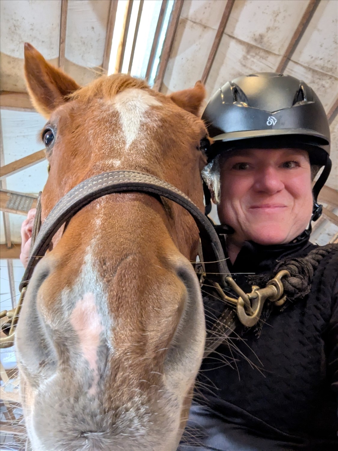 PXL_20251023_221855353--October 23 2025-05.18.55 PM.jpg. PXL_20251023_221855353--October 23 2025-05.18.55 PM.jpg. Uploaded by Erik Hoffmann on 11/16/2025. 