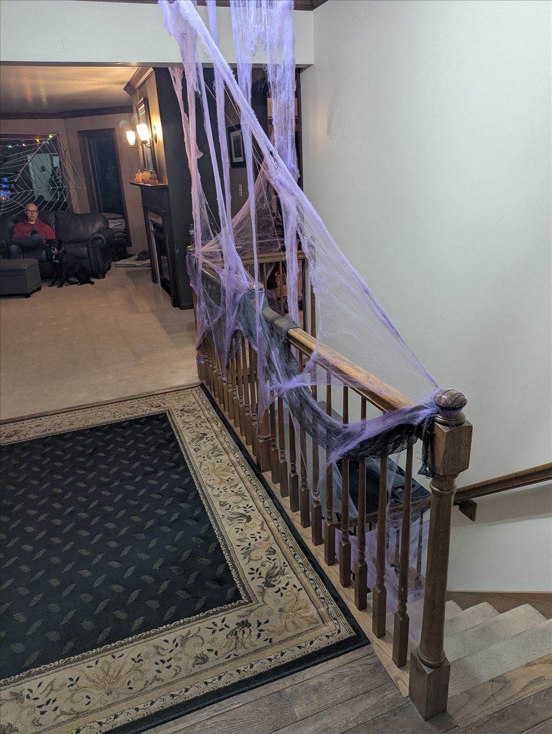 PXL_20251025_231441910--October 25 2025-06.14.41 PM.jpg. PXL_20251025_231441910--October 25 2025-06.14.41 PM.jpg. Uploaded by Erik Hoffmann on 11/16/2025. 