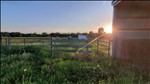 20260702_202019--July 02 2026-08.20.19 PM.jpg