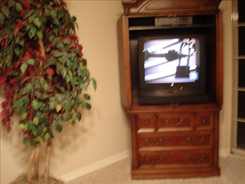 Fiscus tree (fake) and TV in living room. DSC02749.jpg. Uploaded by Marie Hoffmann on 1/13/2007. 