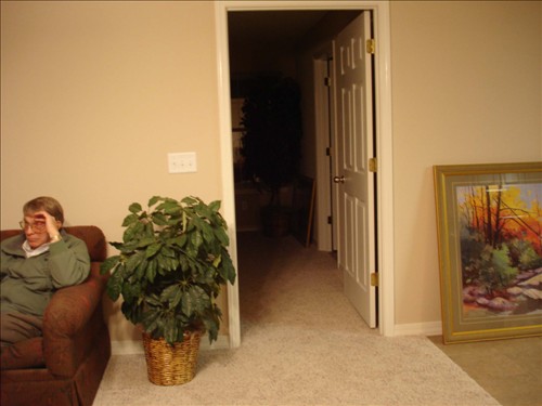 Master bedroom entrance & plant (fake). DSC02760.jpg. Uploaded by Marie Hoffmann on 1/13/2007. 